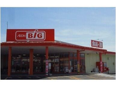 ザ・ビッグ白石店