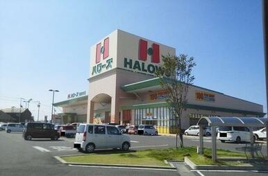 ハローズ観音寺店