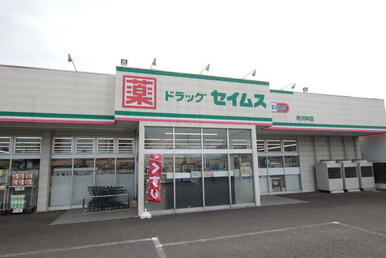 ドラッグセイムス所沢林店