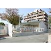幼稚園、保育園