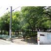 公園