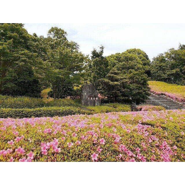 広見公園まで650m