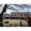 幼稚園、保育園
