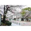 大学