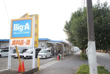 ビッグ・エー 飯能緑店