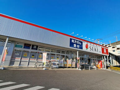 ドラックストアセキ沼南店