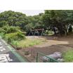 公園