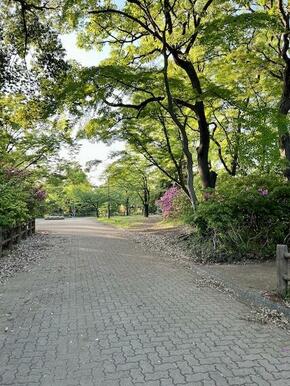 綱島公園