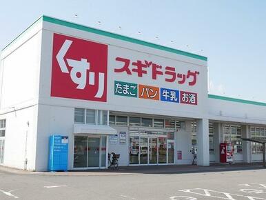 スギドラッグ駿河西島店