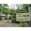 公園