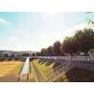 公園
