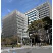大学
