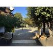 公園