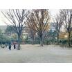 公園