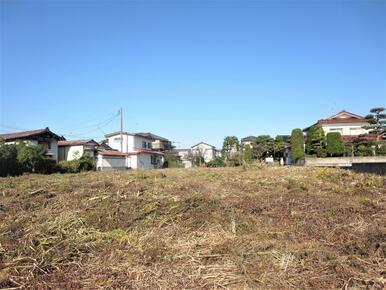 敷地内の南側より北側の敷地状況を撮影