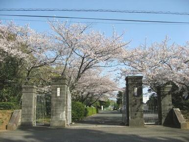 豊橋市立青陵中学校