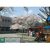 幼稚園、保育園