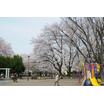 公園
