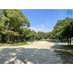 公園