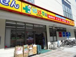 どらっぐぱぱす西五反田店