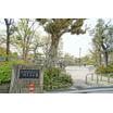 公園