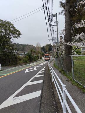 家の前のバス通り、有秋東小の校庭に桜が咲く