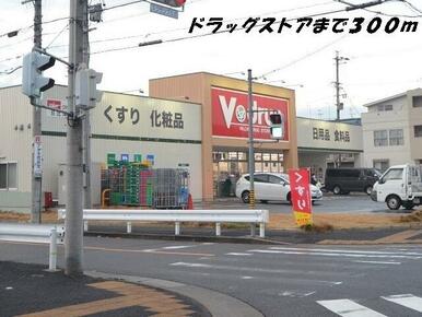 Ｖドラッグ