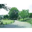 公園