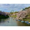 公園