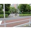 公園