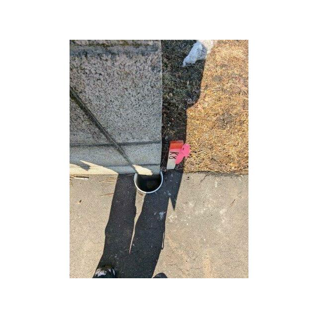 境界石　四点あり