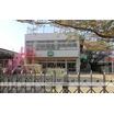 幼稚園、保育園