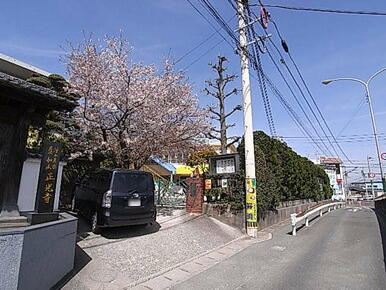 ひかり幼稚園