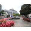 公園