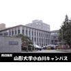 大学