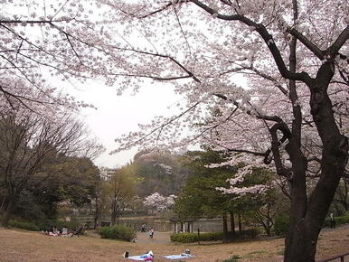 もえぎ野公園