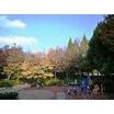公園