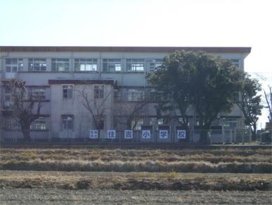 宮崎市立住吉小学校