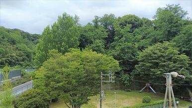 東公園に隣接し緑のある暮らしができます。東公園は散歩コースにピッタリです。