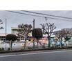 幼稚園、保育園