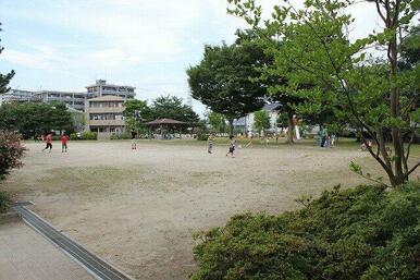 南大野田公園