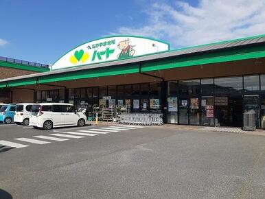 ハート新市店