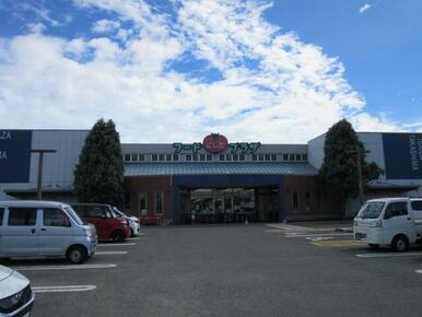 フードプラザにしだ高島店
