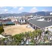 幼稚園、保育園