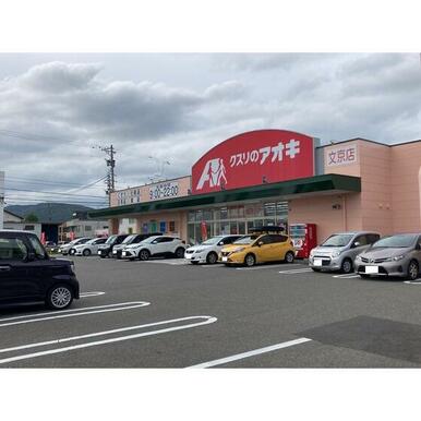 クスリのアオキ文京店