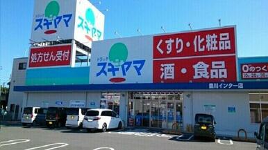 ドラッグスギヤマ豊川インター店
