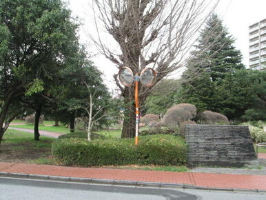 桜美公園