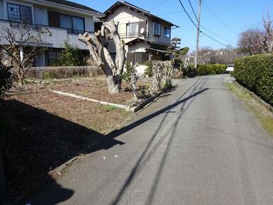 道路南側からの敷地