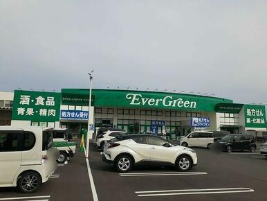 エバグリーン様