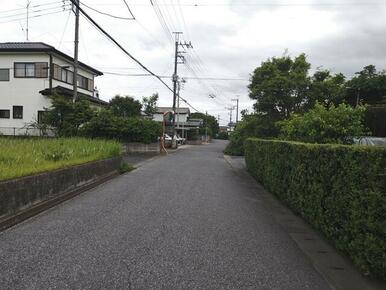 西側道路（北から南を撮影）